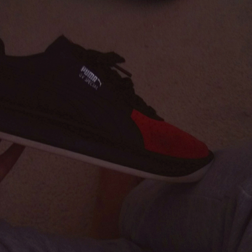 Puma - Picture 3 of 3